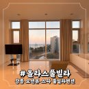 올라스풀빌라펜션 | 강릉 강릉스파펜션 강릉내돈내산 오션뷰 B동301호 올라스풀빌라