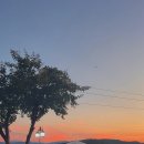 포레스트 173 이미지