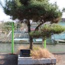 남산2리 경로당 이미지