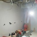 부천-중동-부천-50 이미지