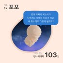 전치 앞(2) | 임신중기 23주차-27주차 슬기로운 임신생활🎈 / 태아 강서 미즈메디 산부인과 입체초음파 / 전치태반 이슈