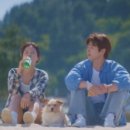 세븐일레븐 강릉뉴금진항점 이미지