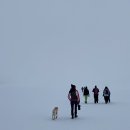 더하얀세상 이미지