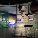 포항바다화석박물관 이미지