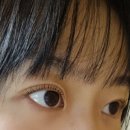 브로우 현