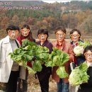 장보고목장 이미지