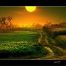 달의 꿈 이미지