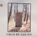 숙의홍씨 묘역 | [서울/은평] 구파발(진관동) '이말산 궁녀 묘역'