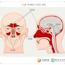 바로경희한의원 이미지