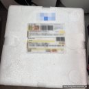 서망항2 | 신선만 진도 꽃게 알배기 암꽃게 제철 활꽃게찜 손질 찜시간 내돈내산 후기