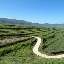 푸른초원 이미지