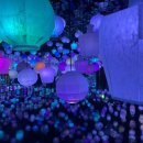 진산무역 | 2025 완도여행_7/12: 후기 with 완도치유페스타