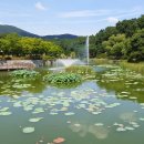 김병모내과의원 이미지