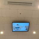 대구슈가링데이지왁싱