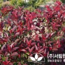 (주)상록조경 이미지