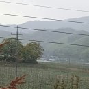 영천장날 네이버블로그
