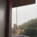 통영 욕지도 호랑이네 | 신상 독채 민박 깨끗한 욕지도 숙소