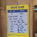 종로· 진골목 | (대구종로맛집)~대구종로진골목에위치한~몽실집~한우대창/곱창/염통~모듬내장구이맛집~!!