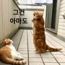 스타동전노래연습장 이미지