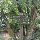 제407차 장수 방화동 야유회(8.8) 이미지