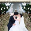 앤틱로즈 | 월드컵컨벤션 본식스냅 '앤틱로즈스냅' 예약후기