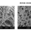바다기획 이미지