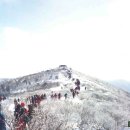 태백산 - 서구 완정로 151 | 태백산