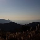 엄정면사무소 이미지