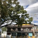 경호강 카라반 이미지