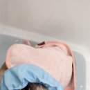 오룡애견미용 이미지