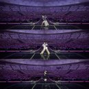 백만불세탁소 | THE TENSE : 태연 콘서트 후기