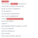 디디케이크 - 동구 율하동로12길 12 | 서울 발산역 과일맛집1995 발산점 메론케이크 후기｜디디가 골라준 생일 과일케이크 내돈내산 🍈🎂