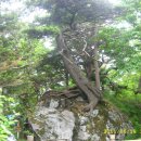 영각사주차장 이미지