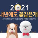 꽃같은 개 네이버블로그