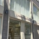 W15 본식드레스 : 대구 로렌스뉴욕 1차 피팅 후기