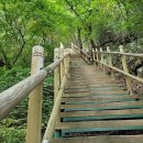 탄천 죽전삼거리 이미지