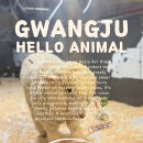 원큐뽑기방 | 광주 아이랑 가볼만한 실내동물원 헬로애니멀 주차부터 꿀팁까지 총정리