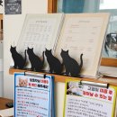 양이멍이 이미지