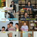 당나귀숲 이미지