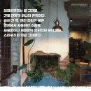 브라운핸즈 이미지