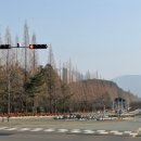 창원 내동패총 이미지