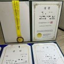 첼로(초등학교 1~6학년) 이미지