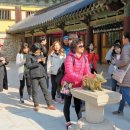 황금돼지동상 이미지