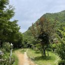 물조은펜션 이미지