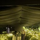 2835 | 제주 애월 공항 근처 실내 가볼만한곳 제주홀릭뮤지엄 포토존 가득 인생샷 내돈내산 후기