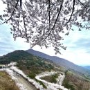 자굴산순환도로 이미지