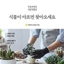 초보식물 집사들을 위한 홈가드닝 이미지
