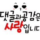 파도바 바다풍경 이미지