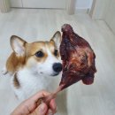 오도독캣 이미지