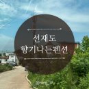 향기나는펜션민박 | 선재도 향기나는펜션 숙박 솔직후기